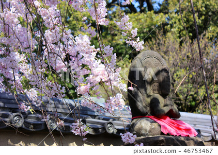 Hakusan San Fukuzoin in Spring (3) 46753467