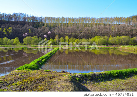 Spring countryside scenery Spring countryside scenery 46754051