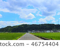 Summer country road 46754404