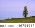 Trees and women 46754537