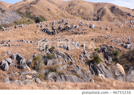 冬天Hiraodai 冬天Hiraodai 46755238