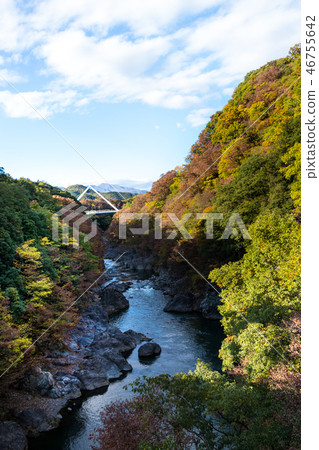 Autumn leaves of Takatsutokyo Gunma Prefecture Midori City 46755642