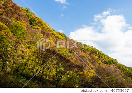 Autumn leaves of Takatsutokyo Gunma Prefecture Midori City 46755667