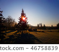 Beautiful morning sunrise 46758839