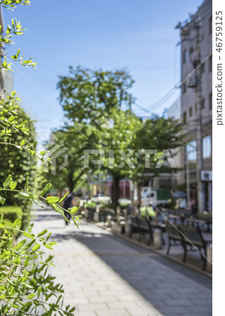 [Jiyugaoka Kujinbutsugawa Green Road] 46759125