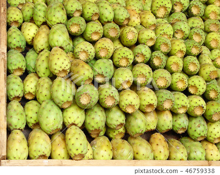 the tasty fruits of a cactus offered for sale the tasty fruits of a cactus offered for sale 46759338
