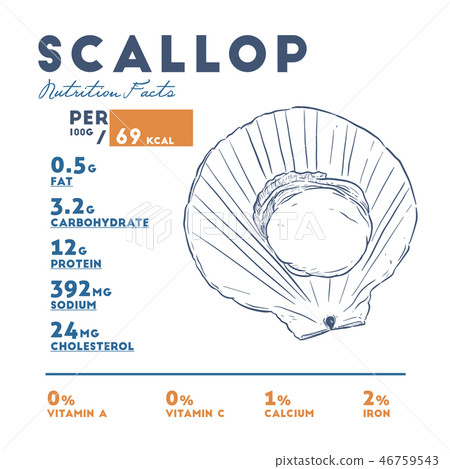 Nutrition facts of scallop, hand draw vector. 46759543