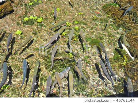 Rainbow ball -19221 46761144