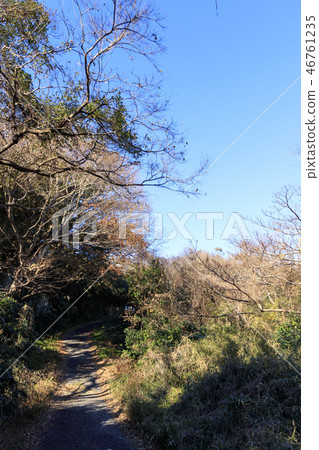 Koajiro Bay 46761235