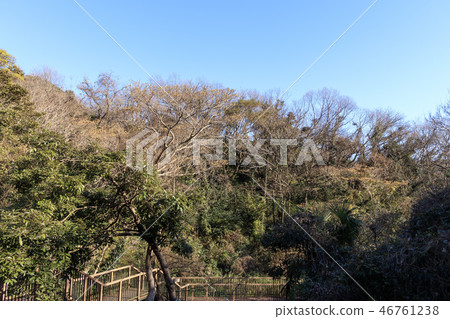 小次郎灣 46761238