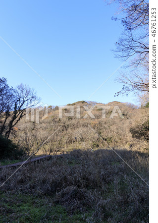 Koajiro Bay 46761253
