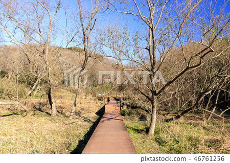 Koajiro Bay 46761256