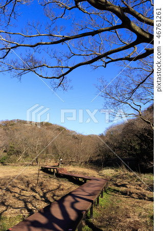 Koajiro Bay 46761261