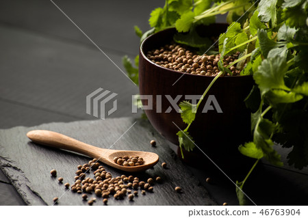 cilantro coriander seeds 46763904