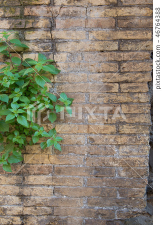Brick background background material Brick background background material 46764388