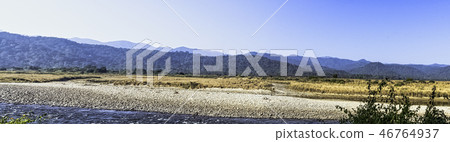 Panorama of Ramganga River in Corbett Park 46764937