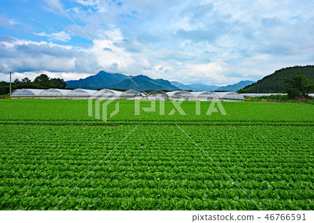 鐵路旅行Koumi線信濃川上 鐵路旅行Koumi線信濃川上 46766591