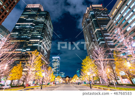 <<Tokyo>> Tokyo Station Marunouchi/Yukisou Street Illuminations 46768583