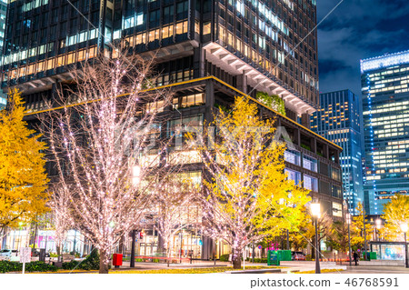 <<Tokyo>> Tokyo Station Marunouchi/Yukisou Street Illuminations 46768591