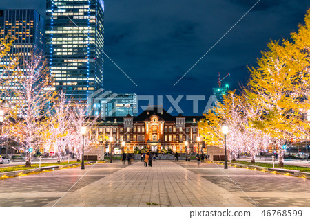 <<Tokyo>> Tokyo Station Marunouchi/Yukisou Street Illuminations 46768599