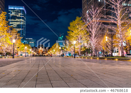 <<Tokyo>> Tokyo Station Marunouchi/Yukisou Street Illuminations 46768618