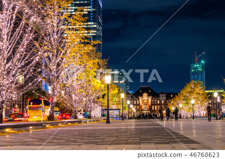 <<Tokyo>> Tokyo Station Marunouchi/Yukisou Street Illuminations 46768623
