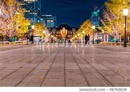 <<Tokyo>> Tokyo Station Marunouchi/Yukisou Street Illuminations 46768626