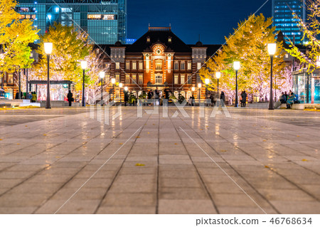 <<Tokyo>> Tokyo Station Marunouchi/Yukisou Street Illuminations 46768634