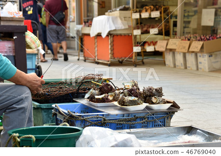 Yobuko早市 46769040