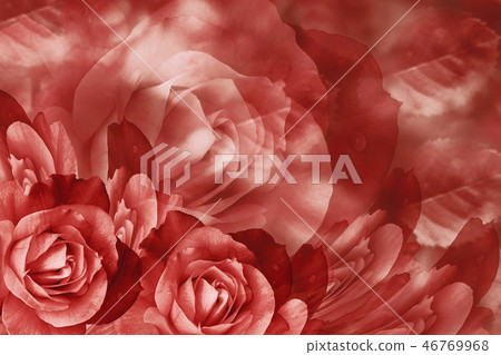 Floral red beautiful background.Flower composition 46769968