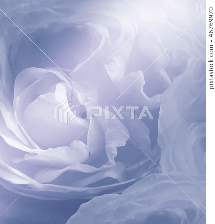 Floral light blue-pink beautiful background. Floral light blue-pink beautiful background. 46769970