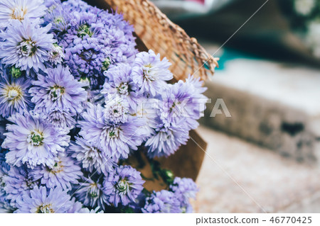 Violet flower bouquet in vintage style. Violet flower bouquet in vintage style. 46770425