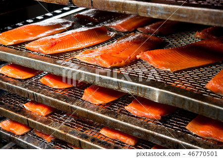 fish factory process 46770501