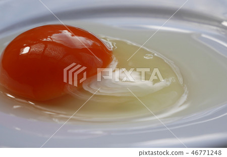 Raw egg  46771248