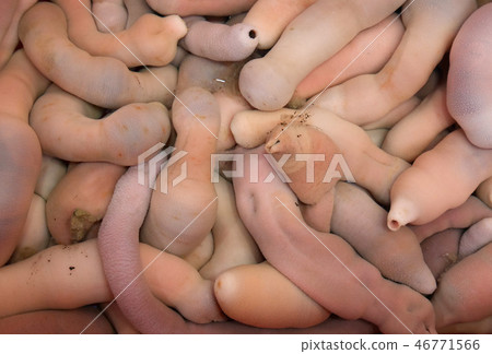 Dogfight Dogfight 46771566