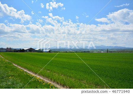 桐鄉富良野市，北海道的風景 46771940