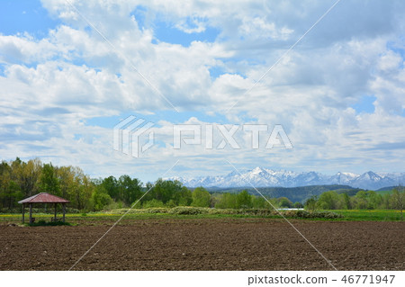 桐鄉富良野市，北海道的風景 46771947