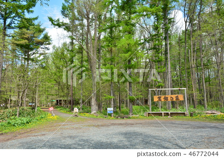 Fukyonomori Hokkaido Furano City Fukyonomori Hokkaido Furano City 46772044