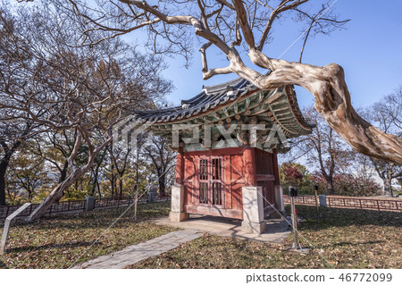 Chonbuk University, Jeonju, Jeonbuk, Jeollabuk-do 46772099