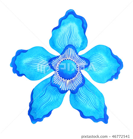 blue color of chakra symbol throat concept, flower blue color of chakra symbol throat concept, flower 46772541