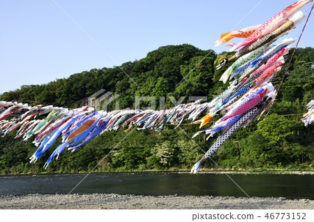 Carp streamer Carp streamer 46773152