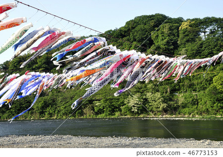 Carp streamer Carp streamer 46773153
