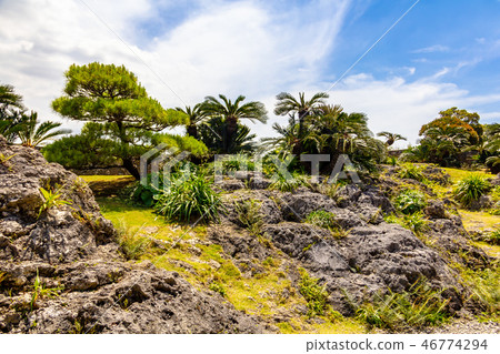 Sho-in Garden Sho-in Garden 46774294