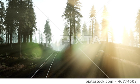 Flight Over A Railway Surrounded By Forest 46774502