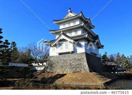 Oshiro Oshiro 46775615