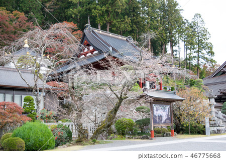 山梨縣Minobe Sanku Onji Temple Hall 山梨縣Minobe Sanku Onji Temple Hall 46775668