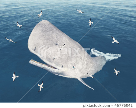 Emerging sperm whale and seagulls 46776041