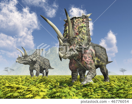 Dinosaur Pentaceratops in a landscape 46776054