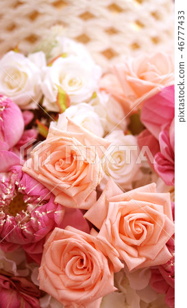 Pink roses and lotuses flower romantic valentine Pink roses and lotuses flower romantic valentine 46777433
