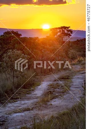 Small dirt road through the hills and vegetation 46778727